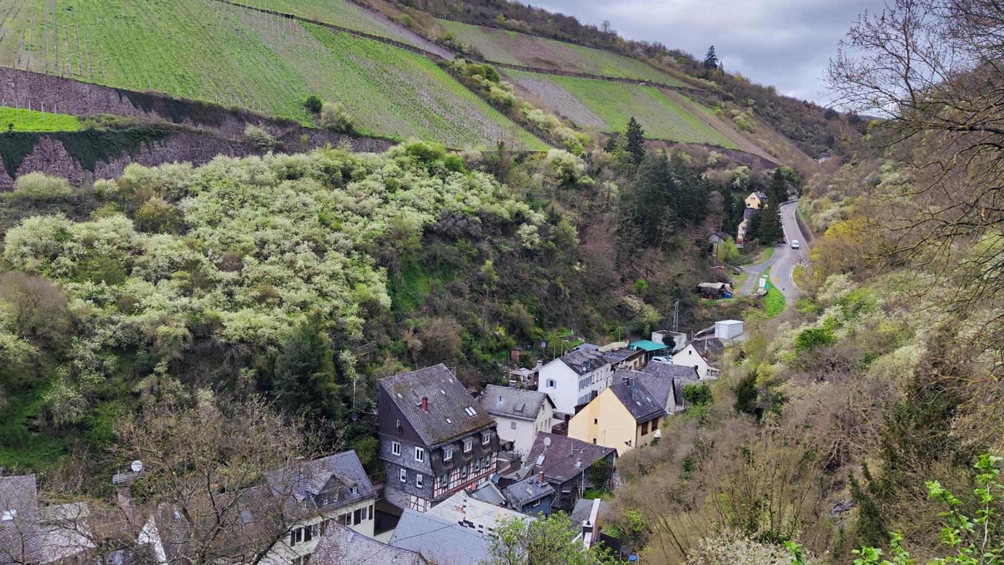 Direkt Am Rhein Mit Burgblick Nahe Rheinsteig Bis 8 Personen, 2 Baeder, 4 Zimmer, Kueche, Netflix Apartment Kaub Ngoại thất bức ảnh